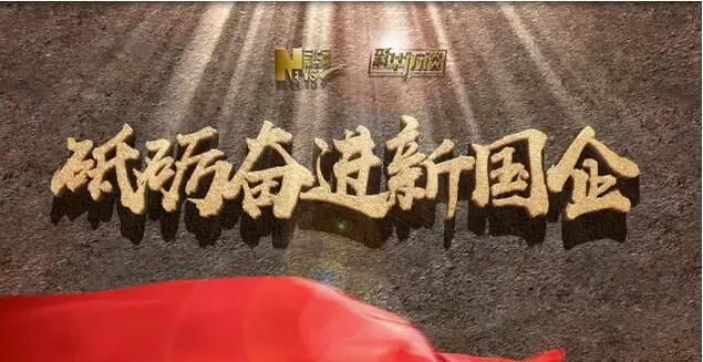 新华网：宋志平：党建做得好的企业，，，，，，，，谋划得也相当好│砥砺奋进新国企系列访谈20170801