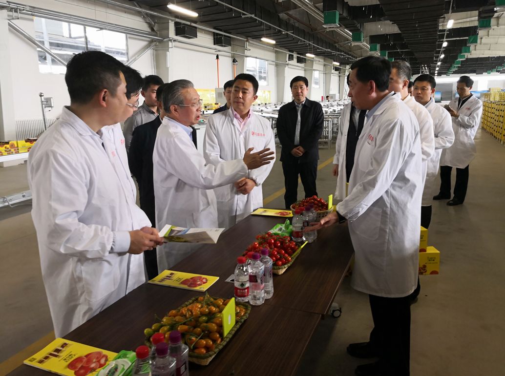 UED官方(中国区)唯一官方网站