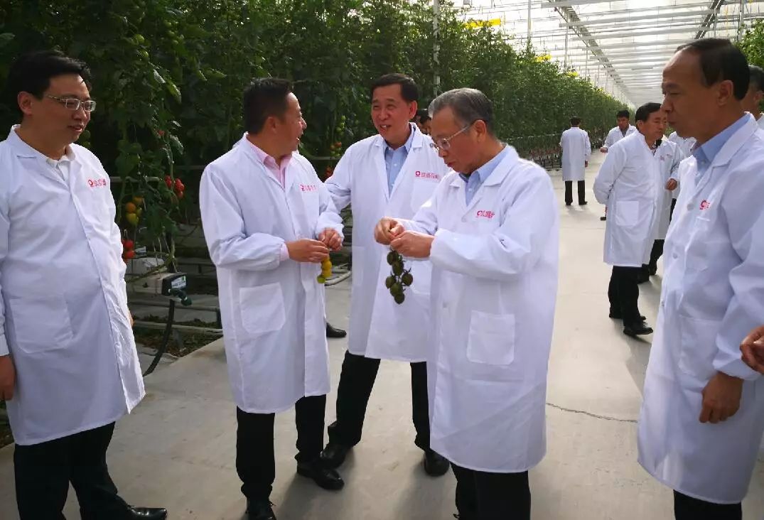 UED官方(中国区)唯一官方网站