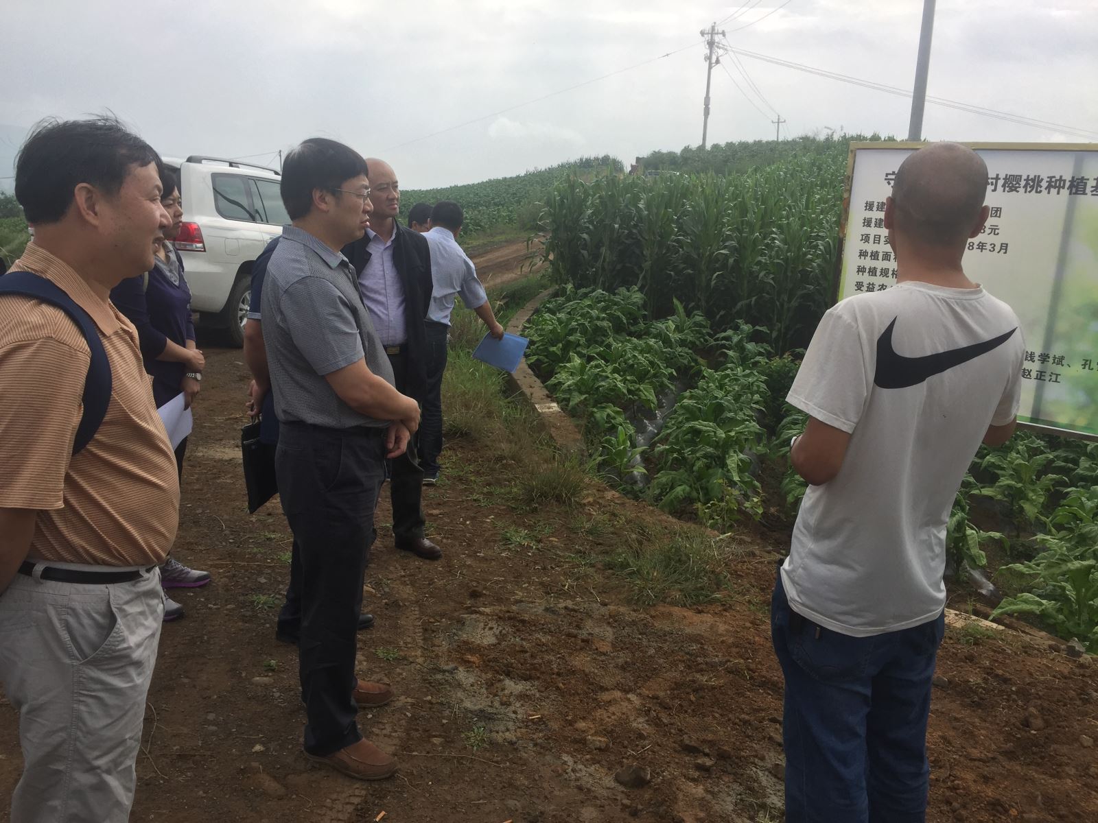 UED官方(中国区)唯一官方网站