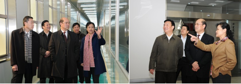 UED官方(中国区)唯一官方网站