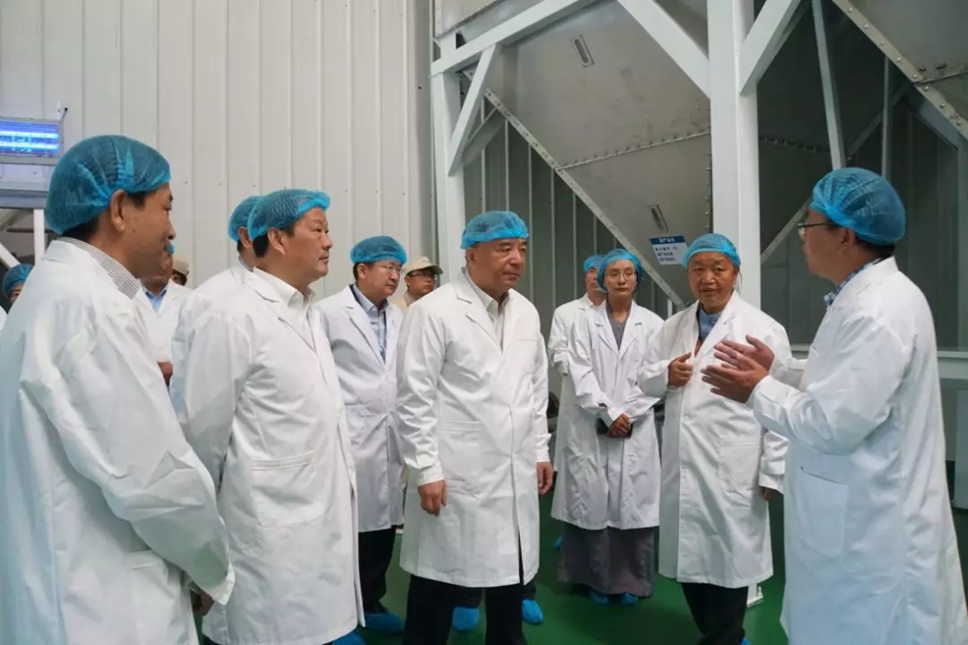 UED官方(中国区)唯一官方网站