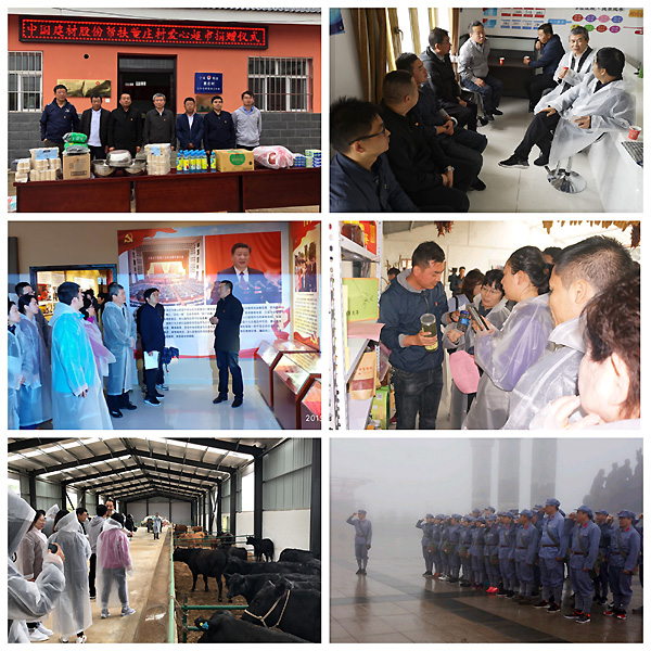 UED官方(中国区)唯一官方网站