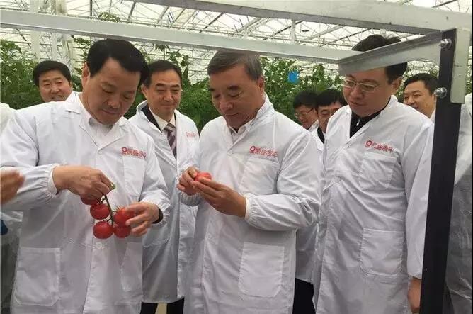 UED官方(中国区)唯一官方网站