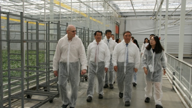 UED官方(中国区)唯一官方网站