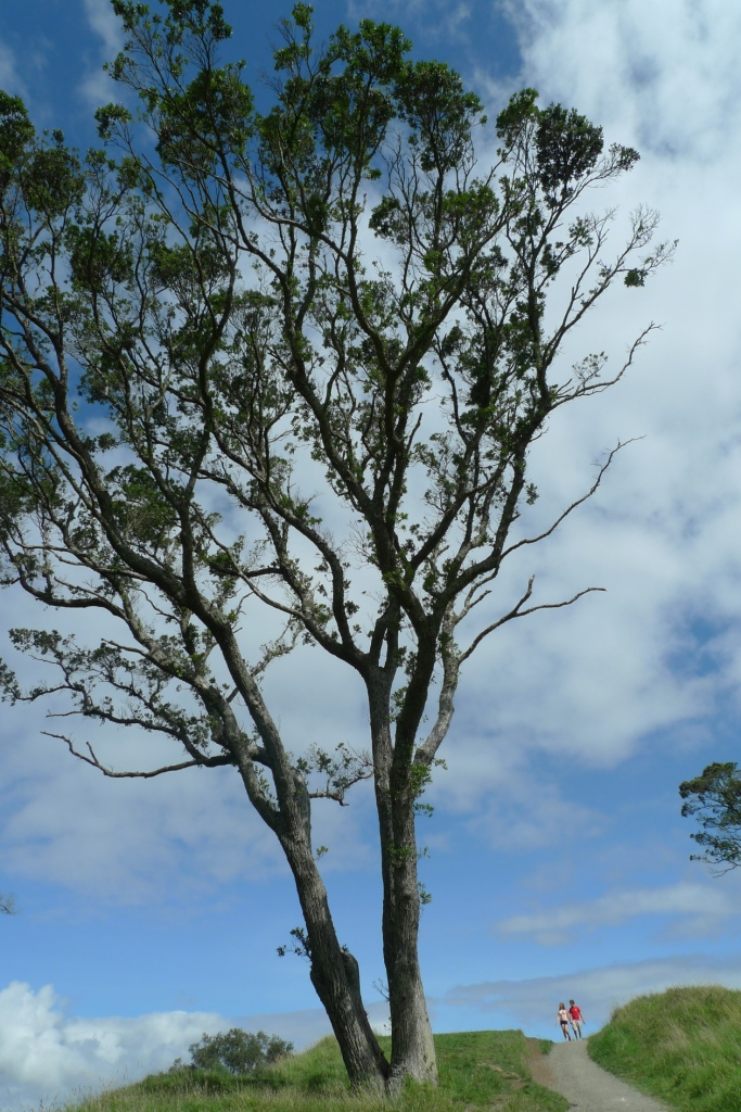 UED官方(中国区)唯一官方网站