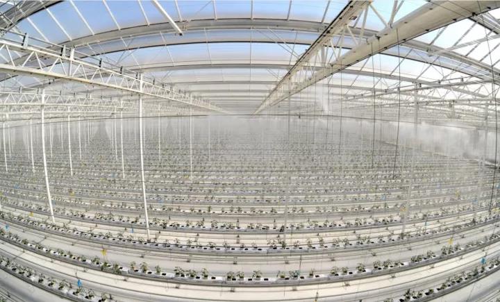 UED官方(中国区)唯一官方网站