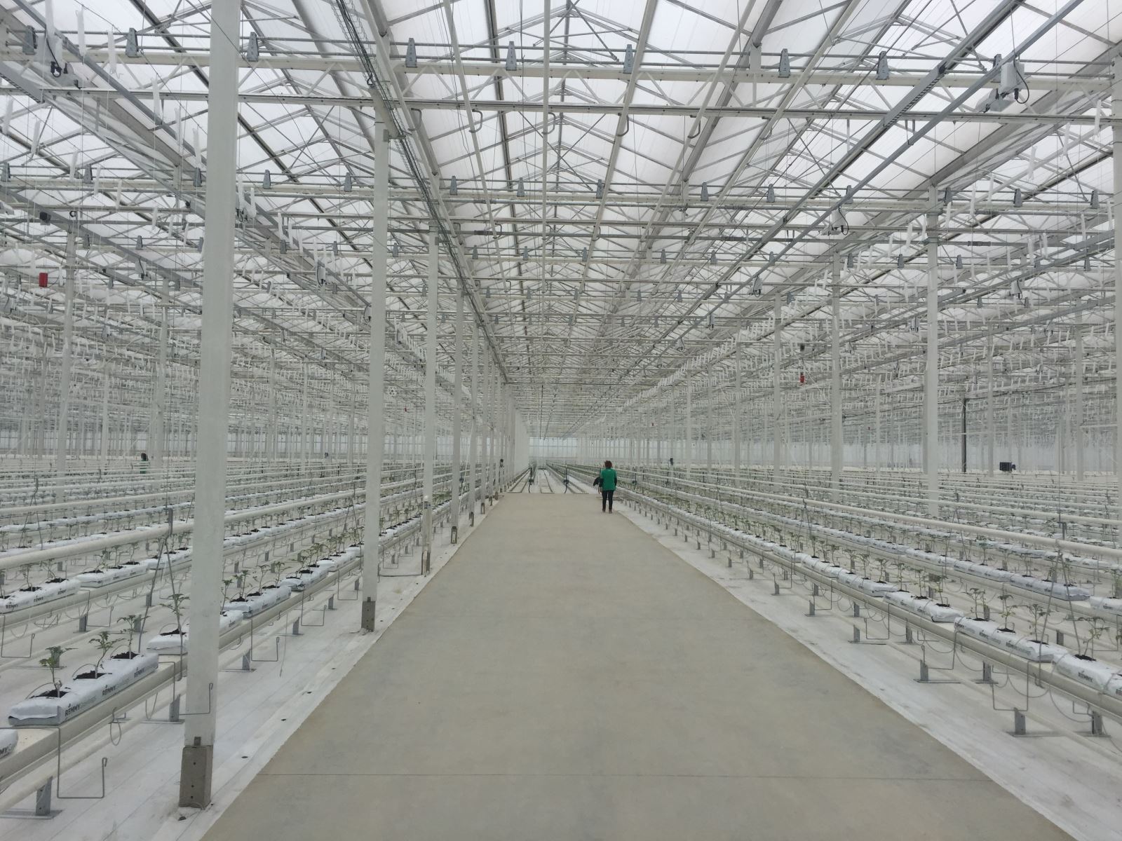 UED官方(中国区)唯一官方网站