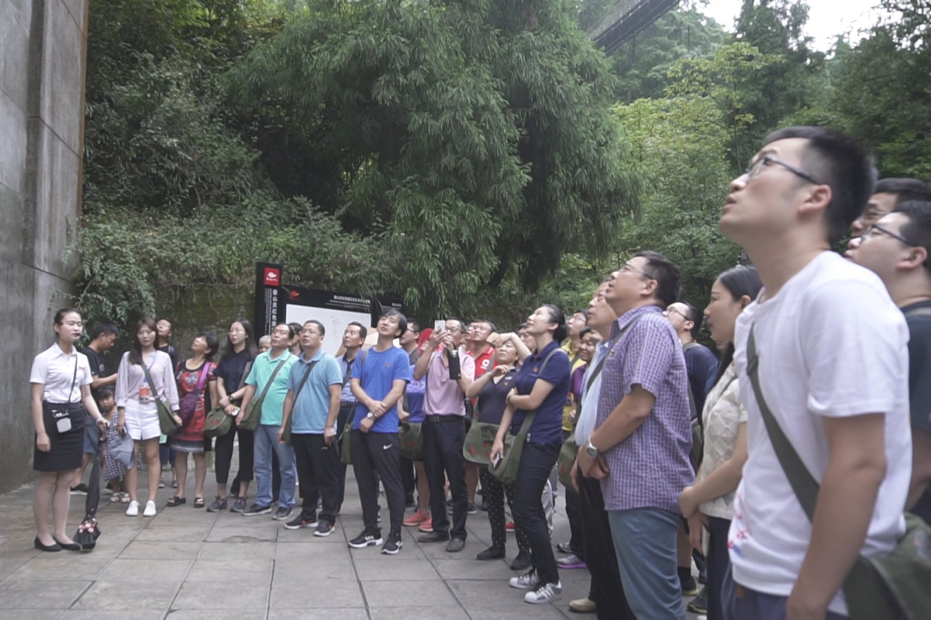 UED官方(中国区)唯一官方网站