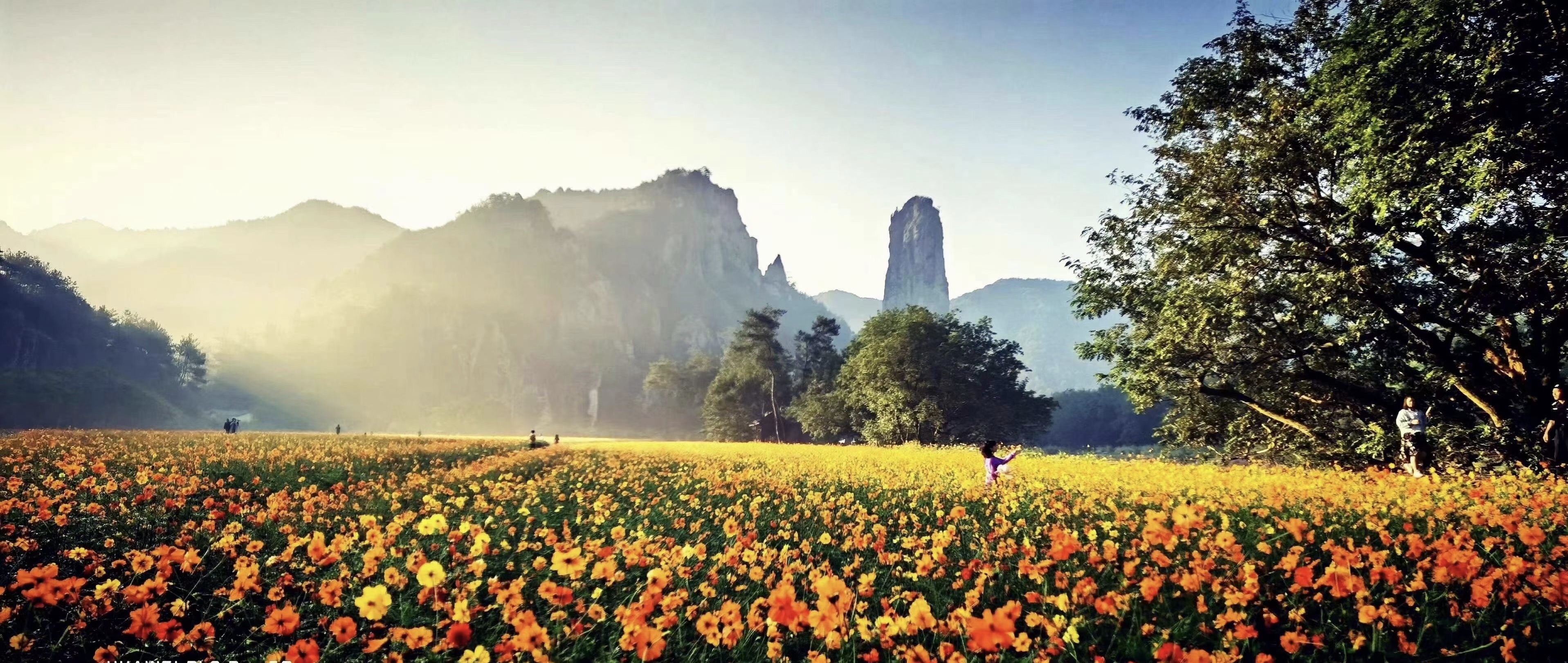 UED官方(中国区)唯一官方网站