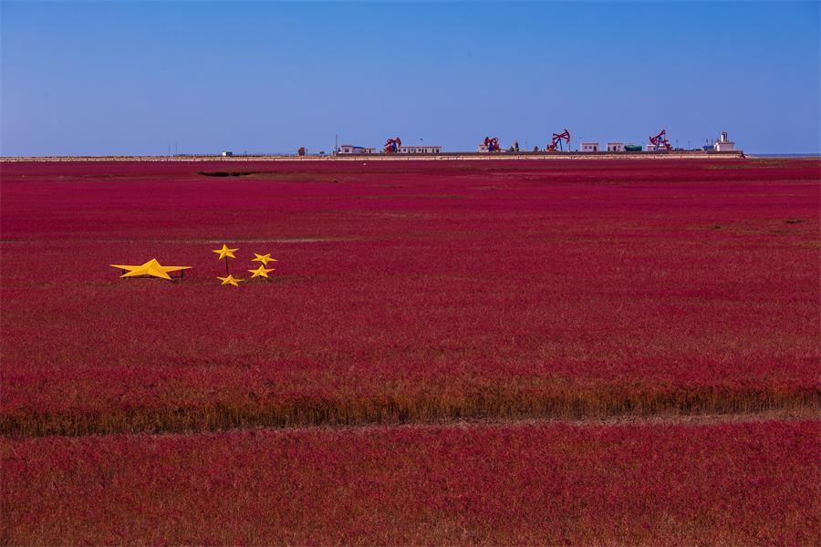 UED官方(中国区)唯一官方网站