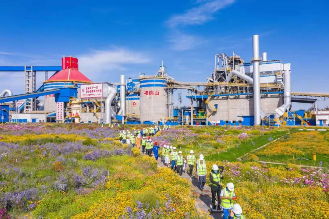 走进“善用资源日”开放企业，，，，，，，，来ued在线官网花海工厂打卡吧！