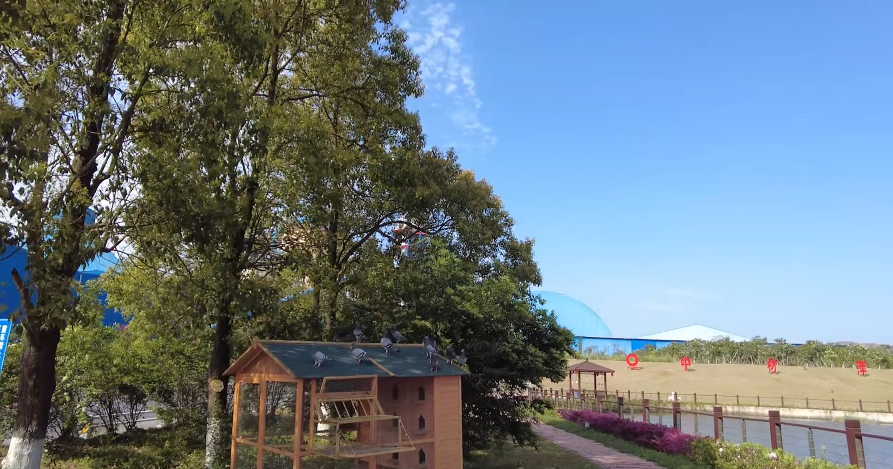 春来好时光，，，，，，，，花园工厂生气勃勃