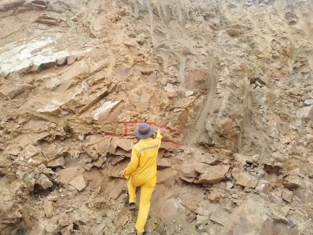 UED官方(中国区)唯一官方网站