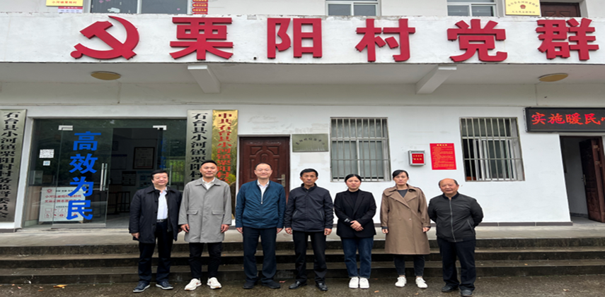 UED官方(中国区)唯一官方网站